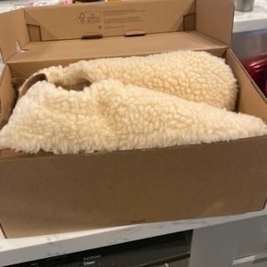 Brand new, never worn UGG cream slippers
